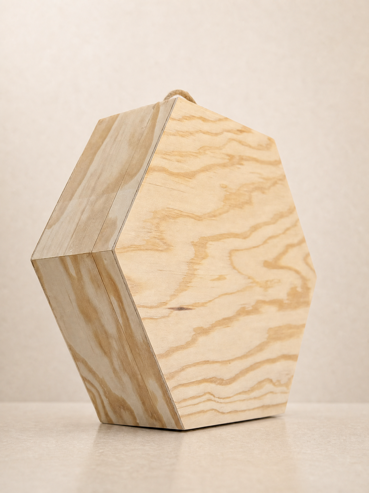 Maletín hexagonal — 3