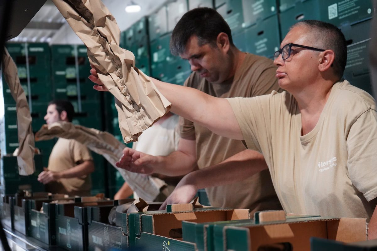Montaje manual de pedidos en el área de manipulados de Ilersis