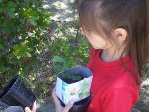 CUIinfoSiembra tus plantas 1