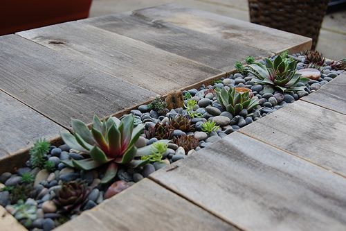 Hacer una mesa de centro para jardín decorada con suculentas | Fundació  Ilersis