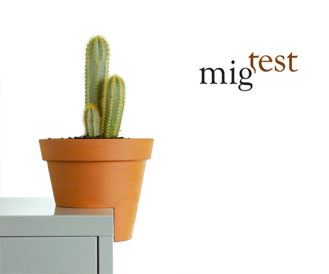 Migtest, una maceta diferente