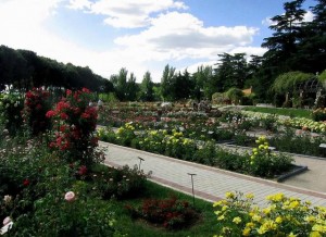 Parque de la rosaleda, Madrid