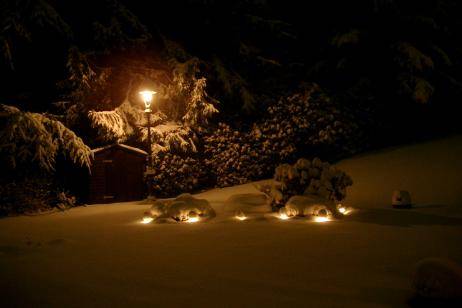 vista-nocturna-jardín-iluminado-invierno