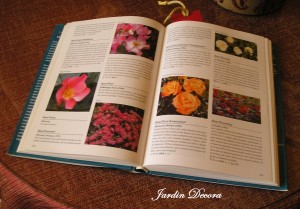 imagen-libro-enciclopedia-rosas