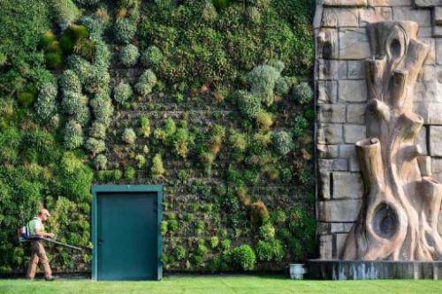 foto-en-la-que-se-compara-la-altura-del-jardinero-con-el-jardín-vertical-mas-grande-del-mundo