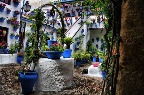 pozo-en-un-patio-con-macetas-azules