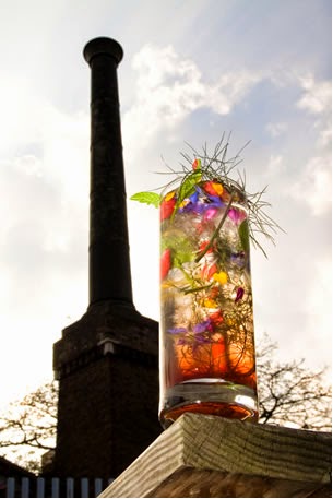 coctel-en-vaso-alto-realizado-con-plantas