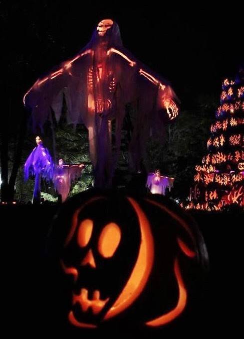 5.000 Calabazas Talladas A Mano Para Halloween