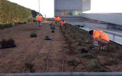 Enjardinament centre Aspamis La Ginesta, Torrefarrera