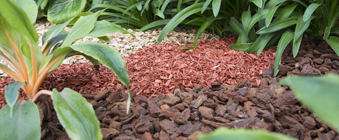 acolchado para el jardín, corteza desmenuzada