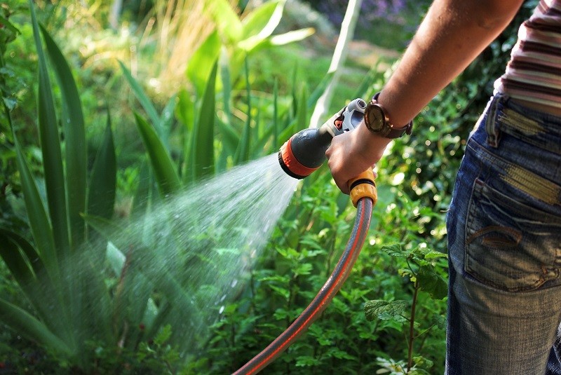 ahorrar agua en el jardín