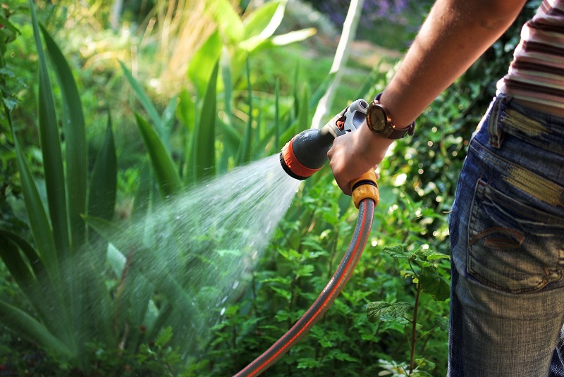 Medidas para Ahorrar Agua en el Jardín