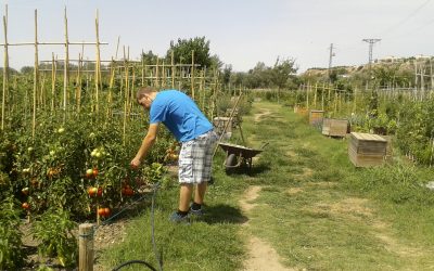 La Fundació ILERSIS rep una subvenció per continuar amb el projecte dels horts socials a Punt Eco