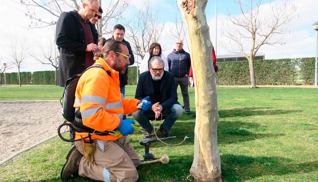El manteniment de la jardineria a Lleida, més sostenible i eficient, gràcies a ILERSIS Fundació