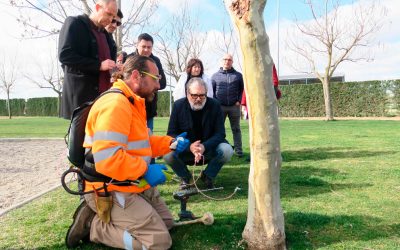 El manteniment de la jardineria a Lleida, més sostenible i eficient, gràcies a ILERSIS Fundació