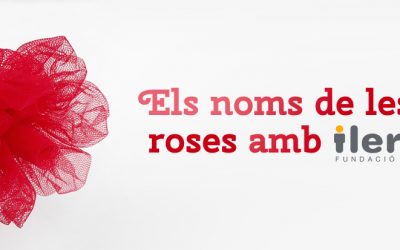 Els noms de les roses amb ilersis – Sant Jordi 2018